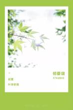 烈日下的绿色