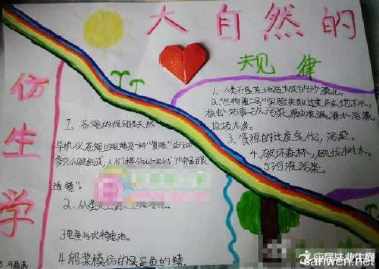 学习新技能