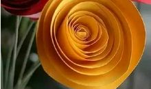 我想变成一朵花