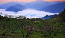 读《我的祖国》有感