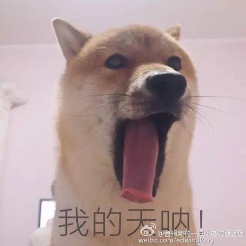 难忘的那种眼睛