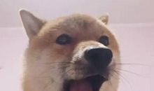 难忘那慈爱的眼神