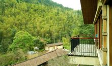 走进大自然深处