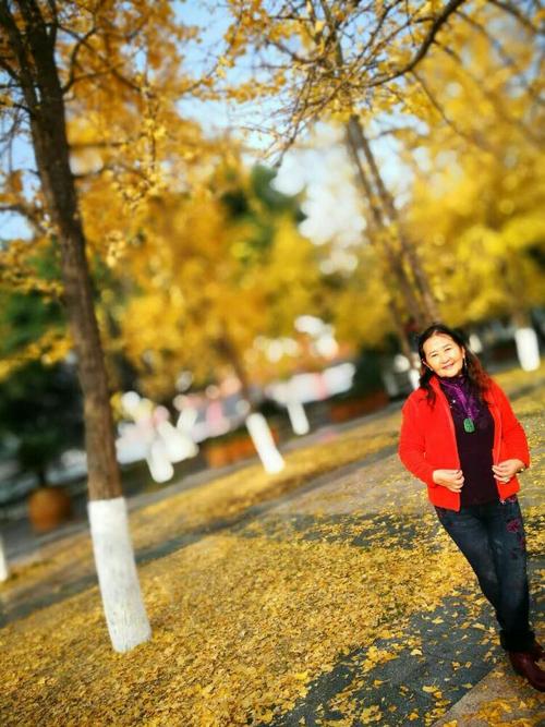 我爱秋天的落叶