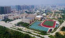 我发现了校园的一种美丽