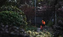 疫情下的特殊春节