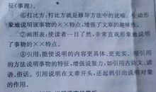 应该怎样写好说明文