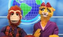 我的动物好伙伴