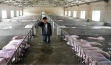 一场凄美的诀别