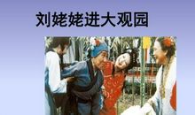 刘姥姥进大观园续写