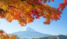 四季美景让我陶醉