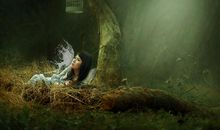 我是多么渴望自由