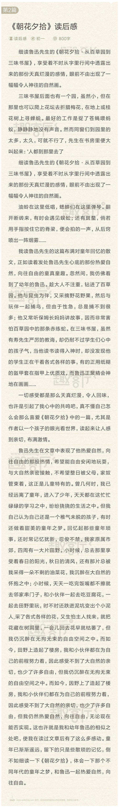 我也是“幸运地迷路了”-读《早晨来》的评论