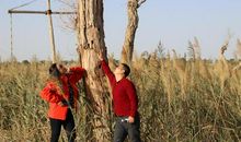 向前走，向远方