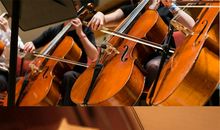 考试“大合奏”