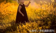 生命的平淡与精彩