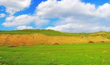 走过美丽的大草原