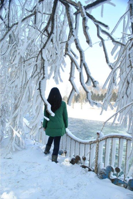 回到雪中