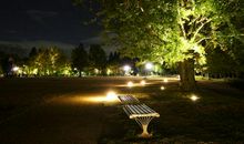 暑假里的一个夜晚