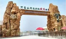 野生动物的心愿