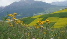 你的笑靥我的风景