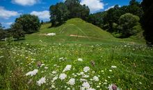 我想成为大自然中的四季