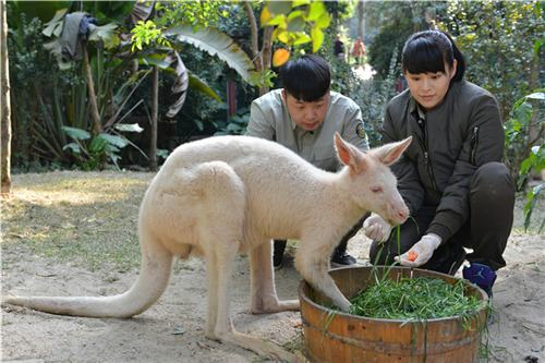 保护小动物
