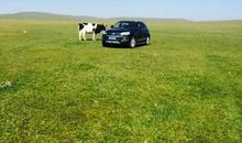 呼伦贝尔大草原游记