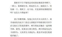 蚂蚁变大想象作文