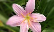 生活到处充满爱