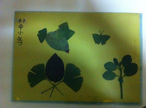 小叶历险记