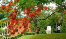 记忆深处的身影