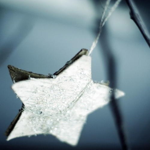 历史将铭记三毛