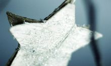 历史将记住三毛