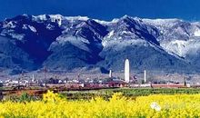 远离安逸的温床