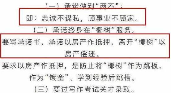 椰子树