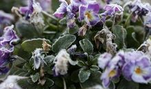 热情让青春灿烂