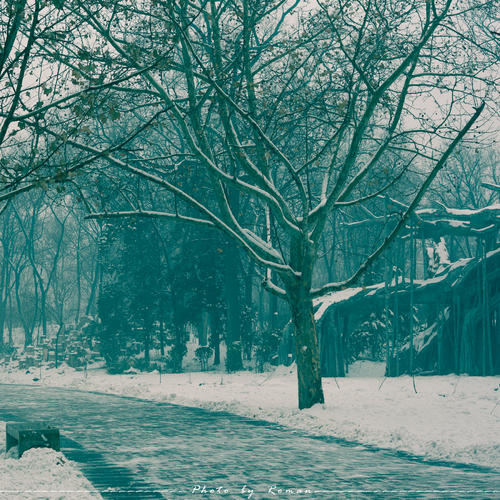 雪的记忆