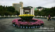 春天的江寺公园