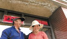 在挫折中扬起笑脸——读《拥抱幸福的小熊》有感