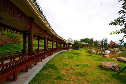 游览杨府山公园