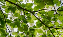 那一刻我不想回到现实