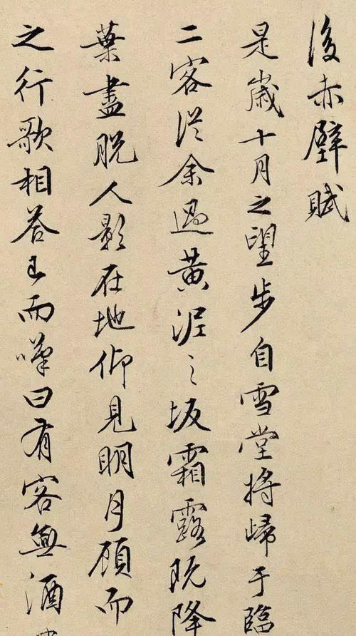 我想当书法家