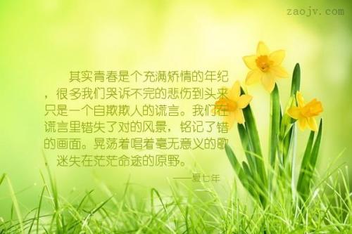 有一种叫做青春的美