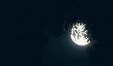 总会想起那轮明月