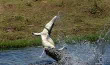 藏在竞争中的精彩