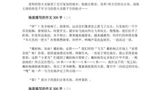 描写石头的作文