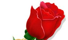 温暖流淌在我心间