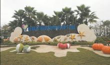 秋游桂林洋热带农业公园