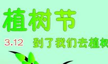 一起去植树